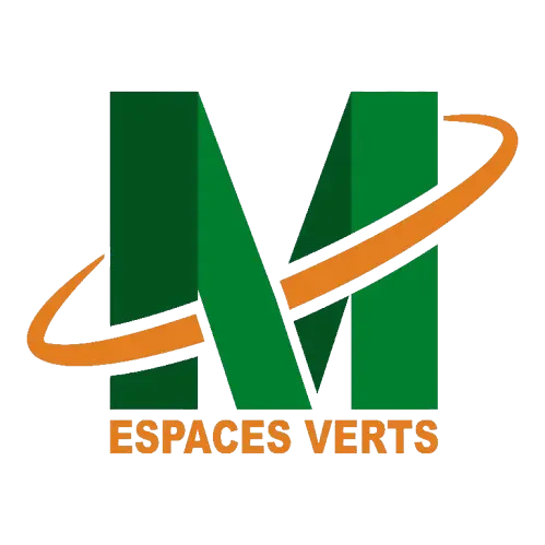 Logo no bg