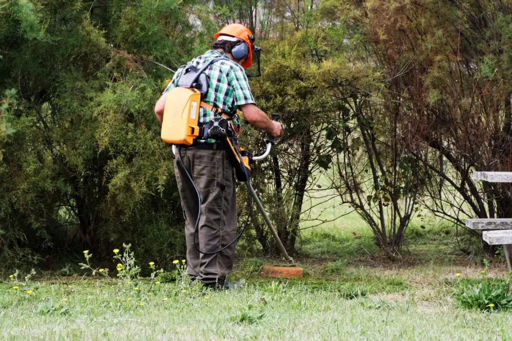 Debroussaillage jardin