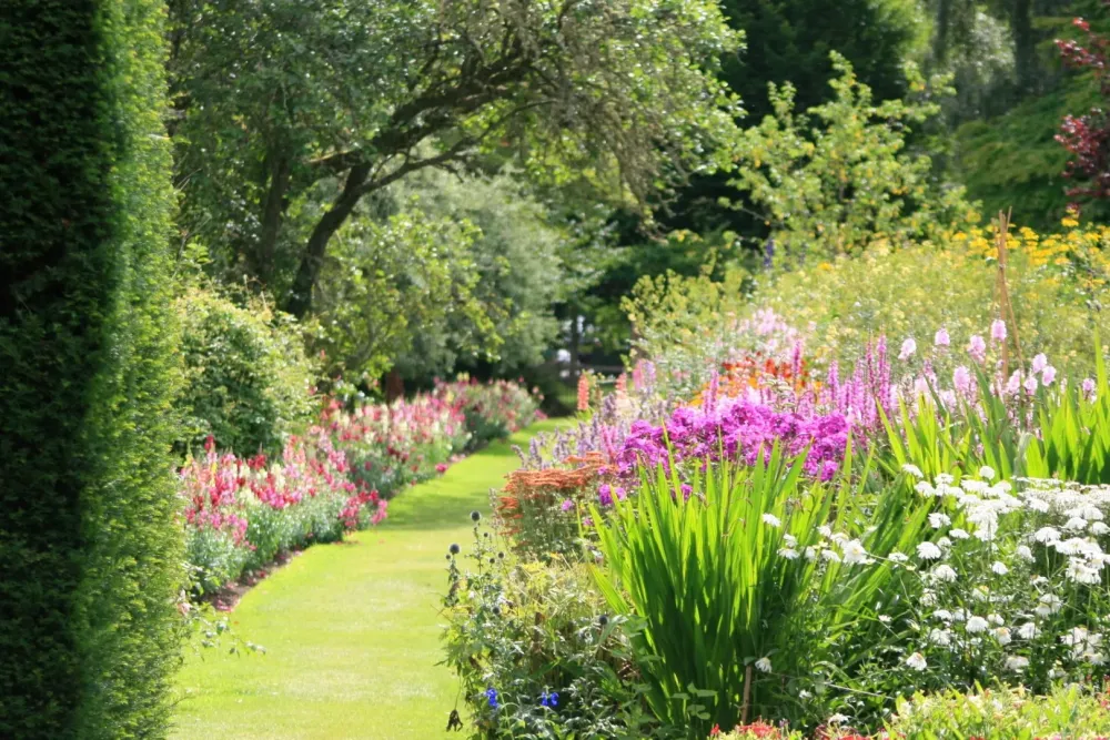 Jardin massif